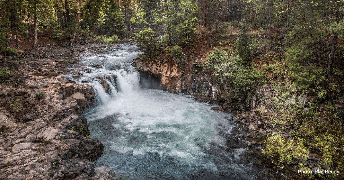 The McCloud River. Photo: Phil Reedy