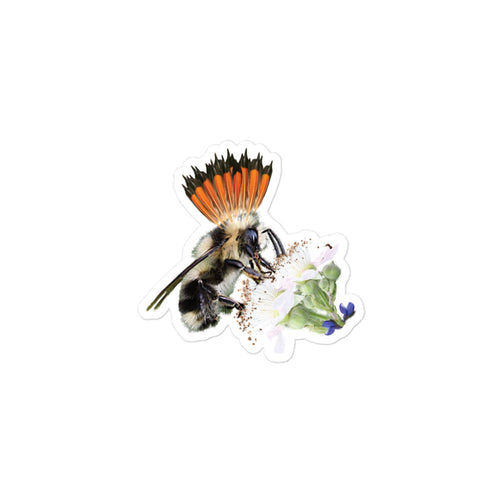 Sawalmem Bee Sticker, kiss-cut, 3 by 3 inches